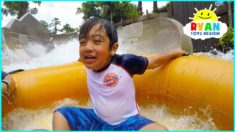 Disney World Water Parks Wave Pools and Water Slides at Typhoon Lagoon