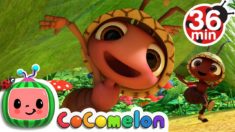 Ants Go Marching + More Nursery Rhymes & Kids Songs – CoCoMelon