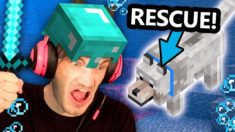 Saving my Minecraft Dog At ALL COSTS!