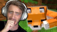 I tame a Fox in Minecraft (very cute)