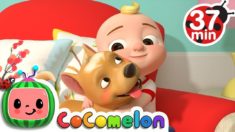 My Dog Song + More Nursery Rhymes & Kids Songs – CoCoMelon