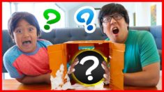 What’s in the Box Family Challenge with Ryan! Surprise Animals inside?!