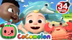 Sea Animal Song + More Nursery Rhymes & Kids Songs – CoCoMelon