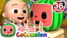 Cocomelon’s 13th Birthday + More Nursery Rhymes & Kids Songs – CoCoMelon