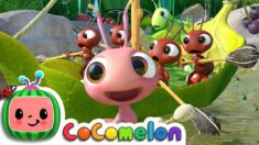 Row, Row, Row Your Boat 2 | CoCoMelon Nursery Rhymes & Kids Songs