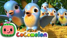 Five Little Birds 3 | CoCoMelon Nursery Rhymes & Kids Songs