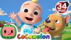 JJ Song + More Nursery Rhymes & Kids Songs – CoCoMelon