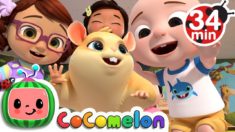 Class Pet Song | + More Nursery Rhymes & Kids Songs – CoCoMelon