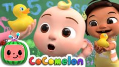 Five Senses Song | CoComelon Nursery Rhymes & Kids Songs