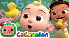 Five Senses Song | CoComelon Nursery Rhymes & Kids Songs