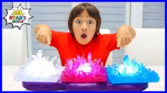 Growing Your Own Crystal | Easy DIY Science Experiments For Kids to do at home!