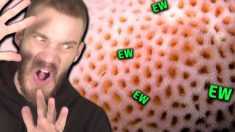 I HATE THIS – Warning Trypophobia! (very ew)