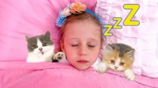 Настя и её обычный день с балованными котятами