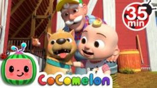 Bingo (Farm Version) + More Nursery Rhymes & Kids Songs – CoComelon