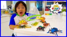 Ryan’s Bug Catching at home Pretend Play and Learn Insect Facts for kids!