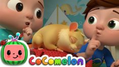 Class Pet Sleepover | CoComelon Nursery Rhymes & Kids Songs