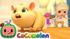 Lost Hamster | CoComelon Nursery Rhymes & Kids Songs