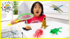 Ryan’s bug catching with animals pretend play and learn animals facts!!!