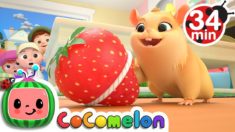 Lost Hamster + More Nursery Rhymes & Kids Songs – CoComelon