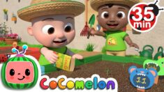 Gardening Song  + More Nursery Rhymes & Kids Songs – CoComelon