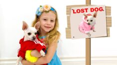 Nastya lost her dog and other stories for kids