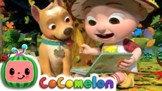 Nature Walk | CoComelon Nursery Rhymes & Kids Songs