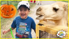 Ryan’s Trip to the Farm with 1hr kids activities Rides and animals!!!