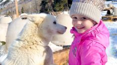 Nastya and Dad in a New Year’s story about a family trip