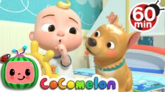 Quiet Time + More Nursery Rhymes & Kids Songs – CoComelon