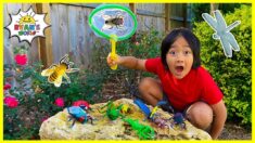 Ryan’s Bug Hunting the backyard at home Pretend Play!!!