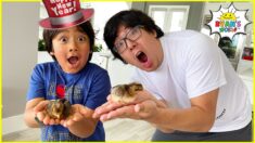 HAPPY NEW YEAR WITH Ryan’s Chickens and more 1 hr kids activities!!