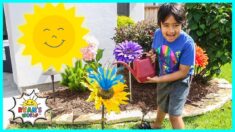 Photosynthesis educational video for kids with Ryan’s World!!