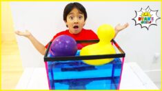 Learn Sink or Float Experiments For Kids with 1hr kids learning video!!