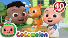 Cody Moves Next Door Song + More Nursery Rhymes & Kids Songs – CoComelon