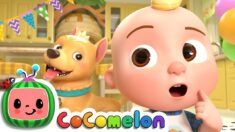 Doggy Hunt Song | CoComelon Nursery Rhymes & Kids Songs