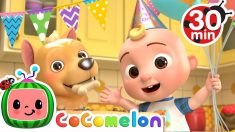 Doggy Song +More Nursery Rhymes & Kids Songs – CoComelon