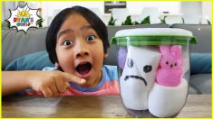 Top Kids Science Experiments to do at home | Marshmallow in a Vacuum 1hr kids video