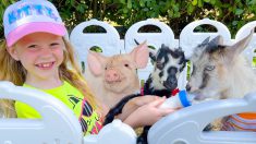 Nastya and the story with animals on grandfather’s farm