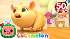 Lost Hamster Song + More Nursery Rhymes & Kids Songs – CoComelon