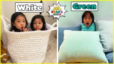 Hide and Seek in your color and more 1 hr kids pretend play!