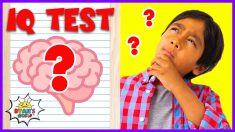 How smart are you?  IQ test game with Ryan’s World!