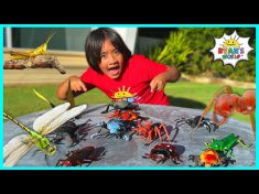 Learn about Bugs Facts for Kids with Ryan’s World!