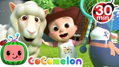 Baa Baa Black Sheep (Pretend Play Edition) + More Nursery Rhymes & Kids Songs – CoComelon