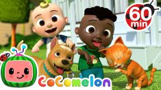 Opposites Song + More Nursery Rhymes & Kids Songs – CoComelon