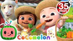 Yes Yes Vegetables On The Farm + More Nursery Rhymes & Kids Songs – CoComelon