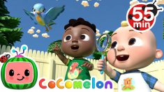 I Spy Song + More Nursery Rhymes & Kids Songs – CoComelon
