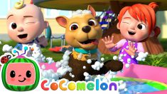 Bingo’s Bath Song | CoComelon Nursery Rhymes & Kids Songs