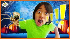Do you swallow Spiders when you sleep? Fact of Myth with Ryan’s World!
