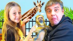 Nastya and Dad study wild animals