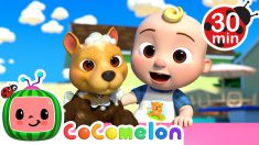 Bingo’s Bath Song | CoComelon Nursery Rhymes & Kids Songs